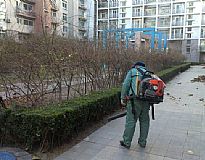 �T���F�����I5